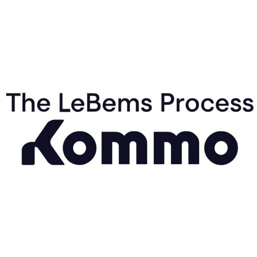 The LeBems Process Logo